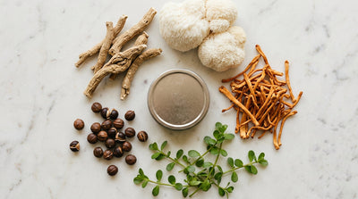 Ashwagandha, lion's mane, cordyceps, bacopa, and guarana ingredients arranged around a focus pouch tin