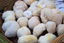 What Are Nootropic Mushrooms? (+ 8 Ways to Have Them Daily)