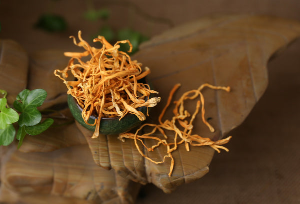 Cordyceps